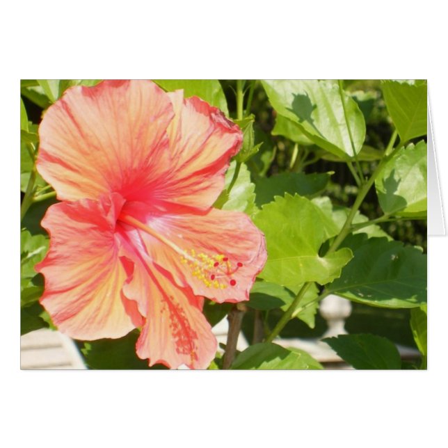 Where flowers bloom so does hope. (Front Horizontal)