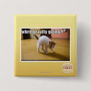 Where gravity going? 2 inch square button