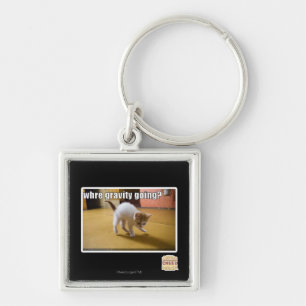 Where gravity going? keychain