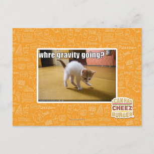 Where gravity going? postcard