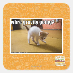 Where gravity going? square sticker