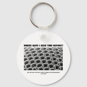 Where Have I Seen This Before? Eye Of Fruit Fly Keychain