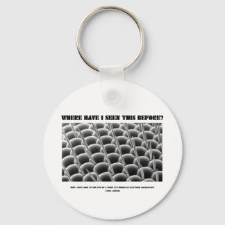 Where Have I Seen This Before? Eye Of Fruit Fly Keychain