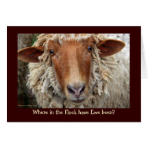 Where in the Flock have Ewe been?