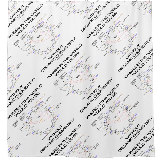 Where In The World Would You Be Organic Chemistry? (Front)
