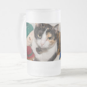 Where Is The Cat Frosted Glass Beer Mug