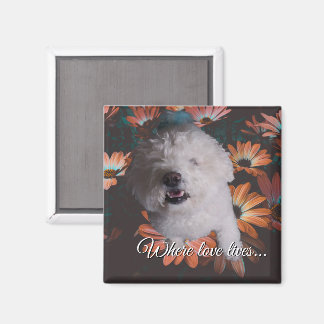 Where Love Lives Magnet