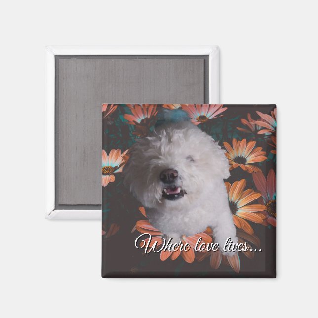 Where Love Lives Magnet (Recto/Verso)