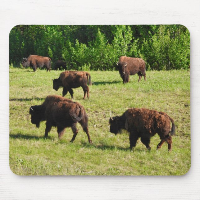 Where the Bison Roam Mouse Pad (Front)