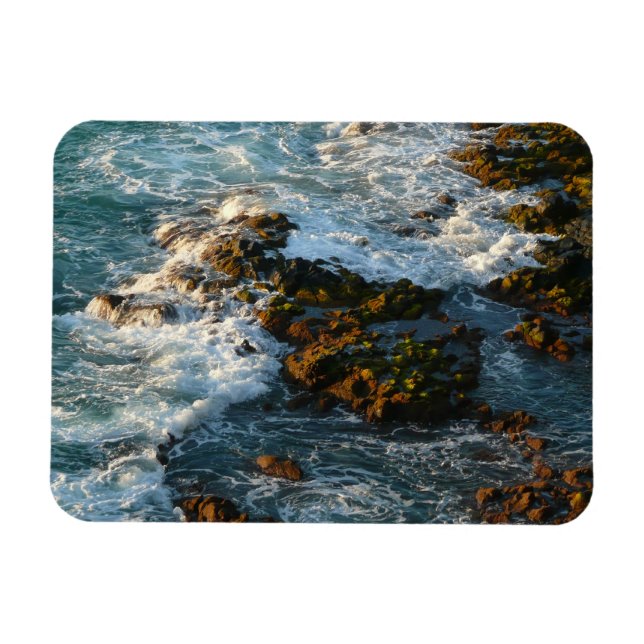 Where the Ocean Meets the Rocks Magnet (Horizontal)