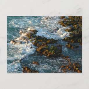 Where the Ocean Meets the Rocks Postcard