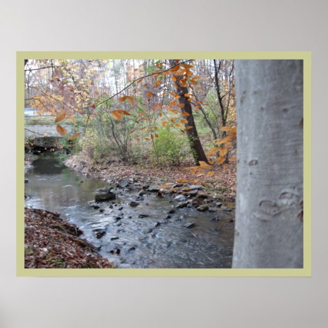 Where the Red Fern Grows Poster (Front)