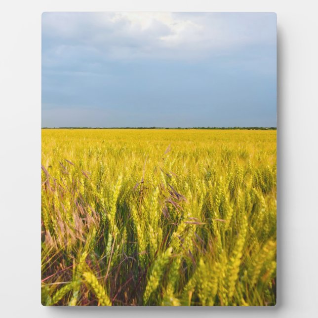 Where the Wheat Dances with the Wind - Wild Nature Plaque (Front)