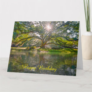 Where The Willow Tree Grows Card