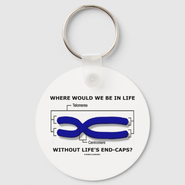 Where Would We Be In Life Without Life's End Caps? Keychain (Front)