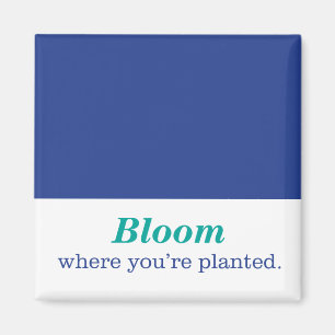 Where You're Planted Magnet