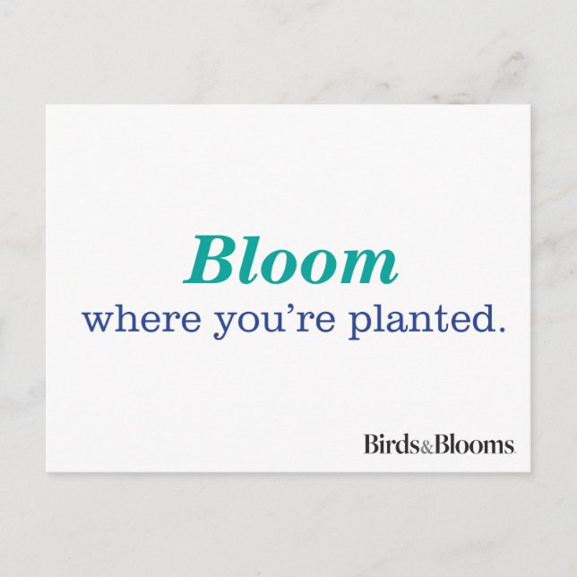 Where You're Planted Postcard (Front)