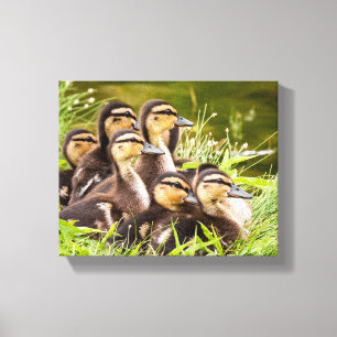 Where's Mom? Canvas Print