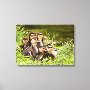 Where's Mom? Canvas Print