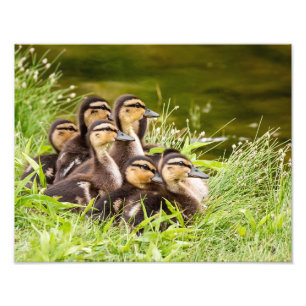 Where's Mom? Photo Print