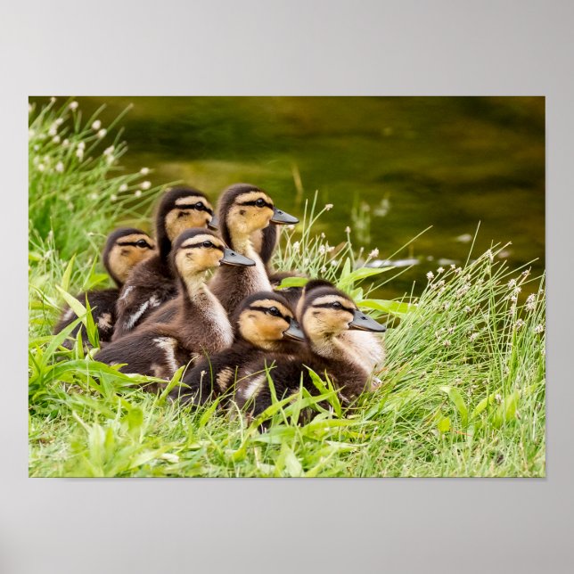 Where's Mom Poster (Front)