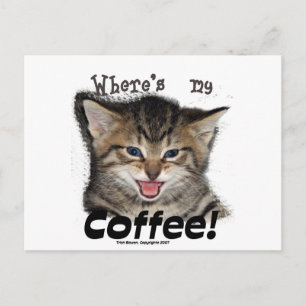 Where's my Coffee Cat Postcard
