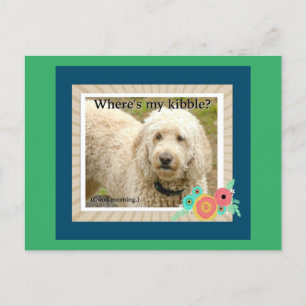 Where's My Kibble, Good Morning Postcard
