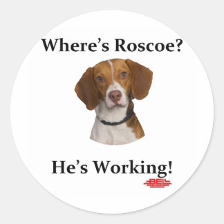 Where's Roscoe? Classic Round Sticker