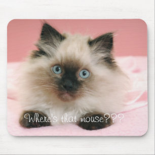 Where's that mouse, mouse pad