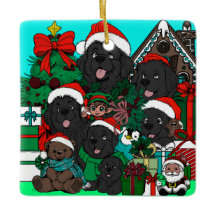 Where's (Waldo) Newfy? (red)