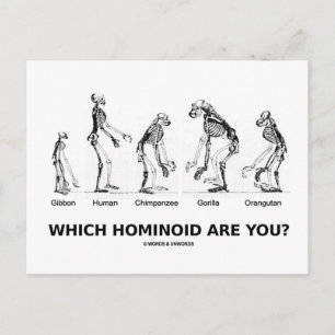 Which Hominoid Are You? (Hominid Skeletons) Postcard