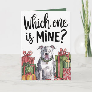 Which One Is Mine Christmas Holiday Card (5x7)