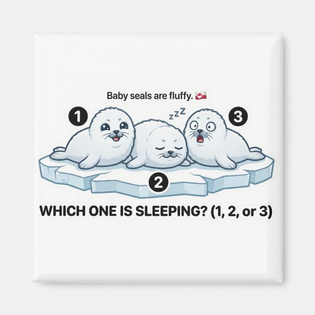 Which One Is Sleeping? – Baby Seal Learning Magnet (Devant)