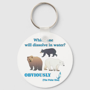Which one will dissolve in water Polar Chemistry Keychain