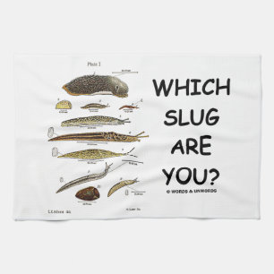 Which Slug Are You? (Different Types Of Slugs) Kitchen Towel