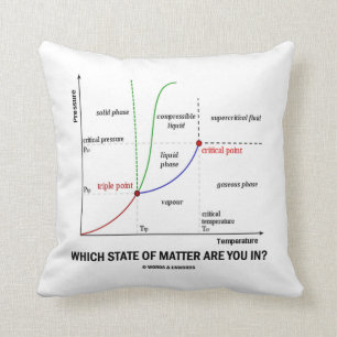 Which State Of Matter Are You In? (Chemistry) Throw Pillow