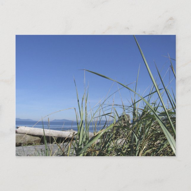 Whidbey Island 5 Postcard (Front)