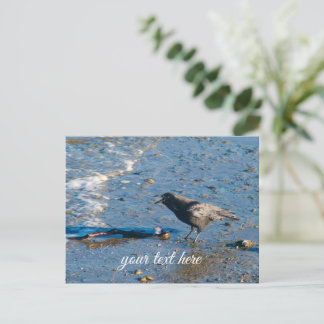 Whidbey Island Washington Crow Beach Art Postcard