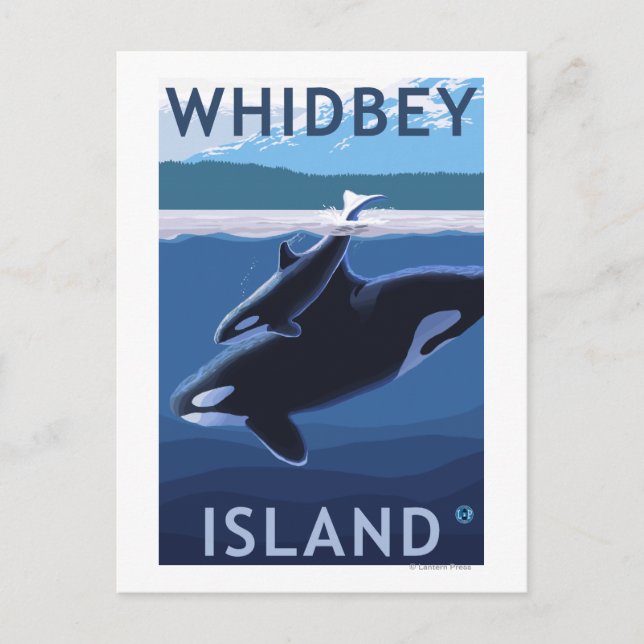 Whidbey Island, WashingtonOrca and Calf Postcard (Front)