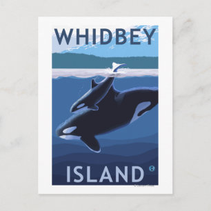 Whidbey Island, WashingtonOrca and Calf Postcard