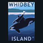 Whidbey Island, WashingtonOrca and Calf Poster<br><div class="desc">Whidbey Island,  Washington - Orca and Calf - LP Original Poster -   was created in 2008. This image depicts scenes from Whidbey Island,  WA.</div>