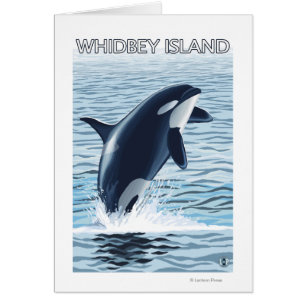 Whidbey Island, WashingtonOrca Jumping