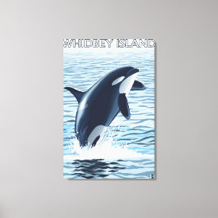Whidbey Island, WashingtonOrca Jumping Canvas Print