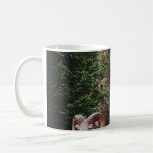 WHILE DRIVING ALONG THE BOW VALLEY PARKWAY IN BANF COFFEE MUG
