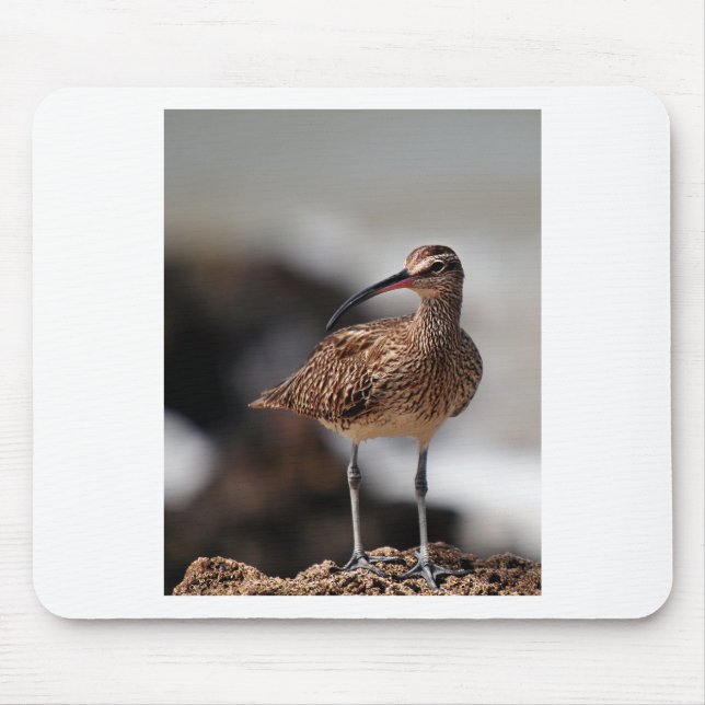 Whimbrel Mouse Pad (Front)