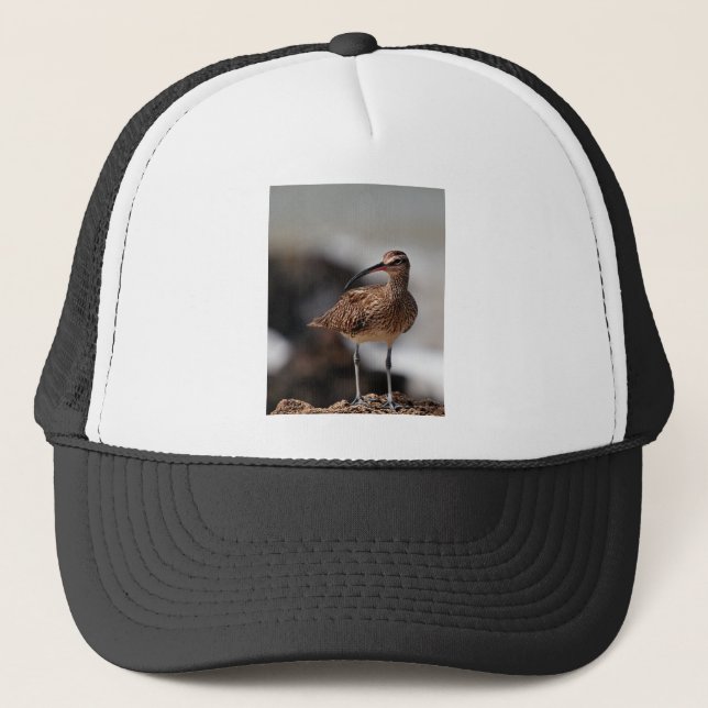 Whimbrel Trucker Hat (Front)