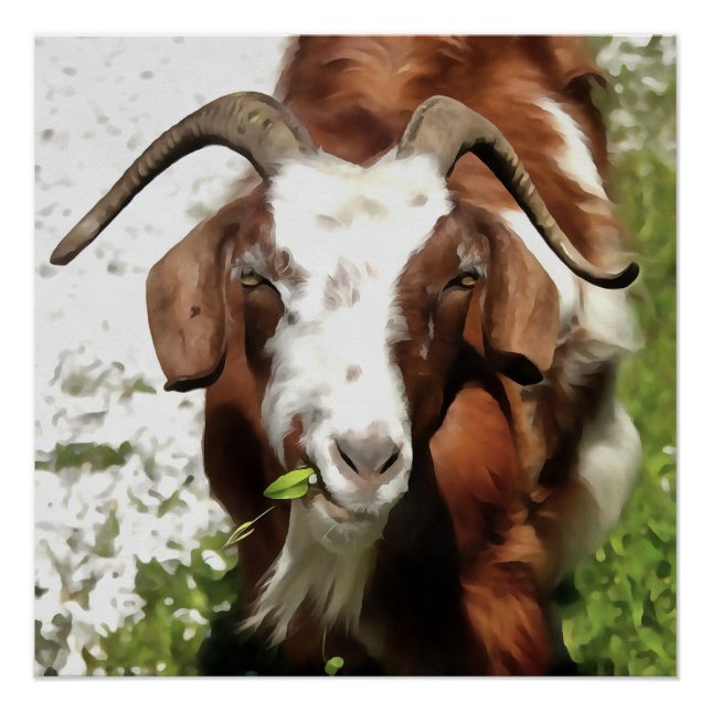 Whimsical Artistic Portrait Of A Goat Grazing Poster (Front)