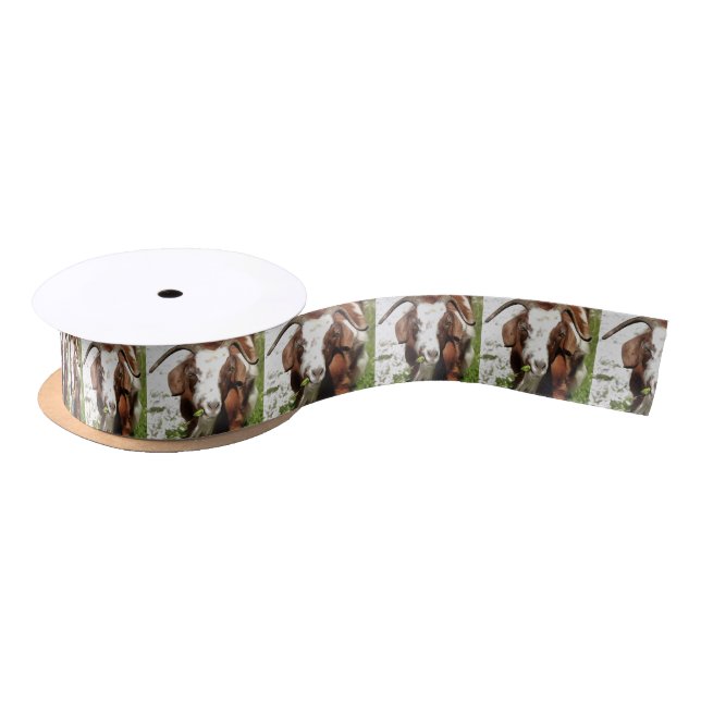 Whimsical Artistic Portrait Of A Goat Grazing Satin Ribbon (Spool)
