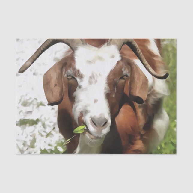 Whimsical Artistic Portrait Of A Goat Grazing Tissue Paper (Front)