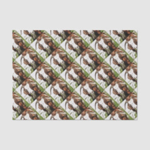 Whimsical Artistic Portrait Of A Goat Grazing Tissue Paper